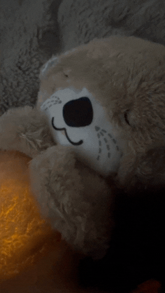 SleepyTime™️ Otter Snuggle Buddy