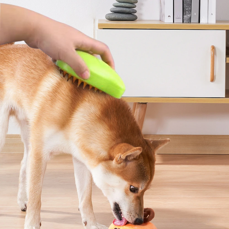 PawPerfection Canine Spa Brush