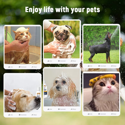 FurBuddy Fresh & Shine 2-in-1