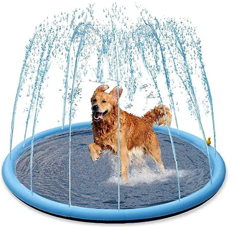 Splashy Paws Water Playground